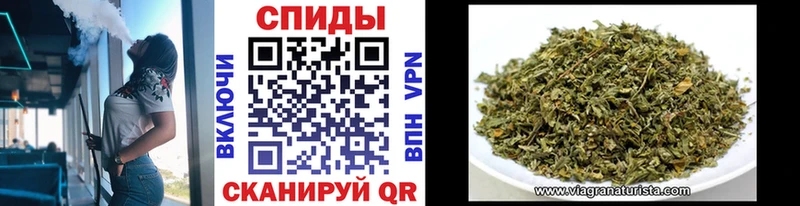 БУТИРАТ буратино Армавир