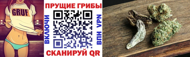 Псилоцибиновые грибы Magic Shrooms  Армавир 